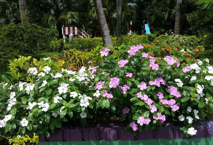 스탠다드 스튜디오, Grand West Villas