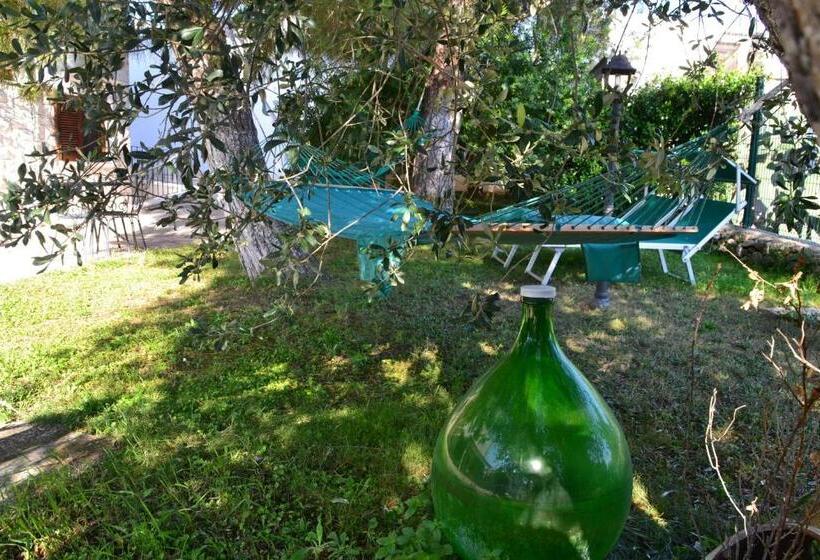 شقة غرفة واحدة, Agriturismo Salinola