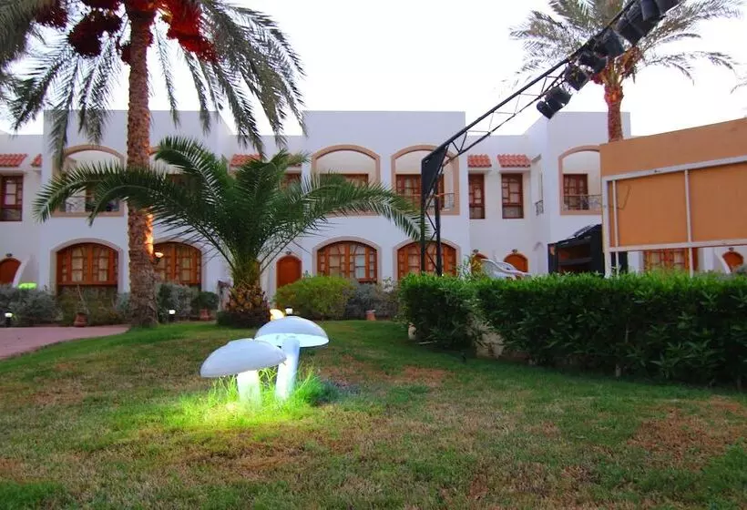 اتاق استاندارد با چشمانداز استخر, Coral Hills Resort Sharm Elsheikh