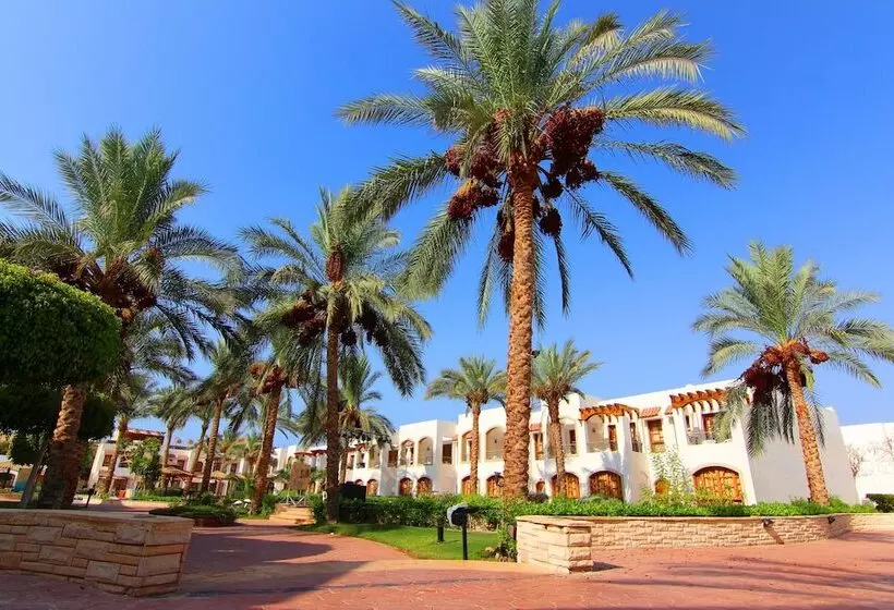 اتاق استاندارد با چشمانداز استخر, Coral Hills Resort Sharm Elsheikh