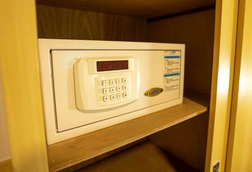 Номер Стандарт, Hamburgo Palace