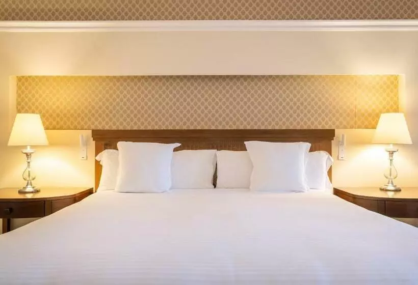 اتاق استاندارد, JOIA Paraíso by Iberostar - Adults Only
