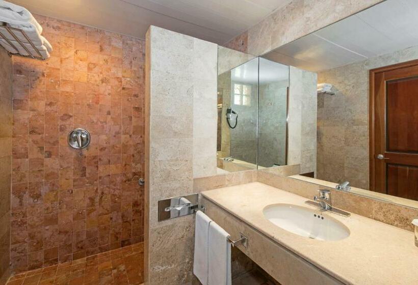 스탠다드 룸, Iberostar Waves Paraíso Beach