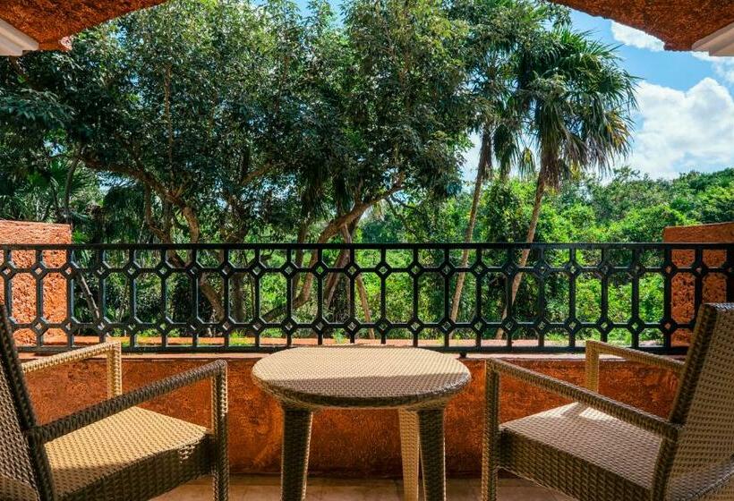 스탠다드 룸, Iberostar Waves Paraíso Beach