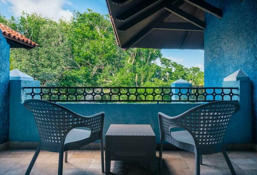 주니어 스위트, Iberostar Waves Paraíso Beach