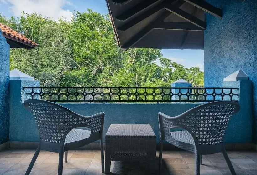 ジュニアスイート, Iberostar Waves Paraíso Beach