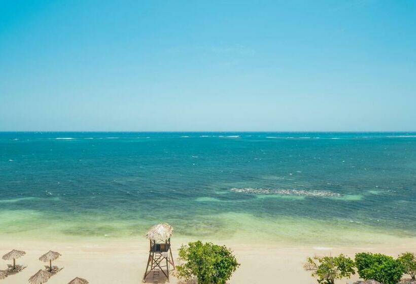 سوییت جونیور با چشمانداز دریا, Iberostar Selection Rose Hall Suites