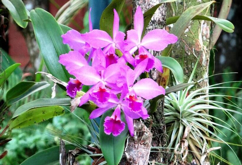 غرفة قياسية, Privillage Praia Pousada De Charme