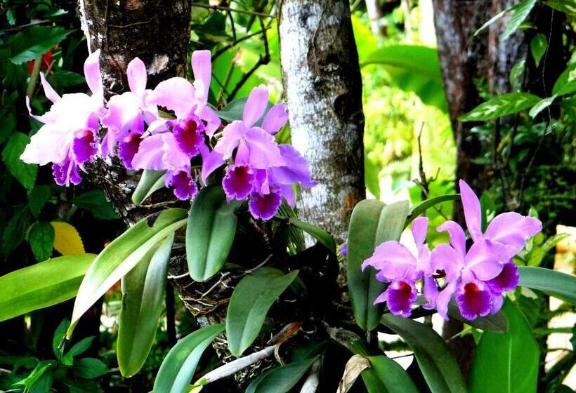 غرفة قياسية رباعية, Privillage Praia Pousada De Charme