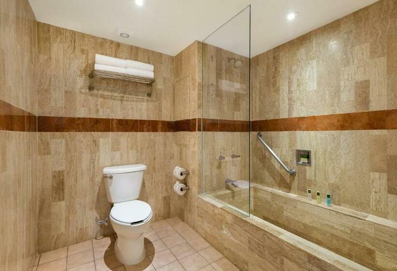 スイート, Villa Del Palmar Beach Resort & Spa Puerto Vallarta