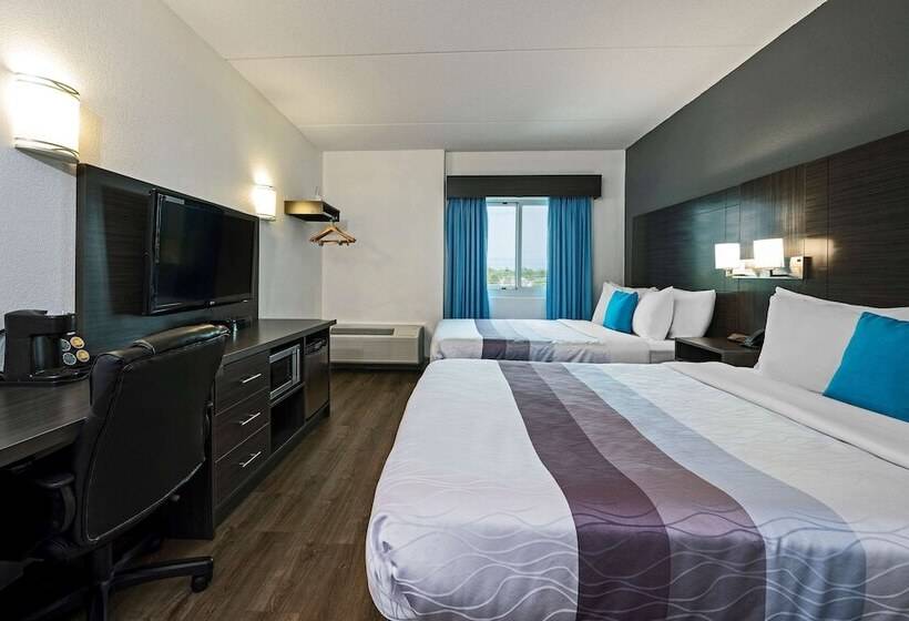 Номер Стандарт 2 Двуспальные Кровати, Comfort