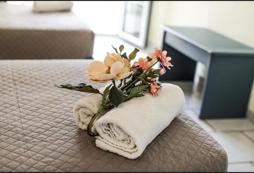 اتاق استاندارد, Sofia S