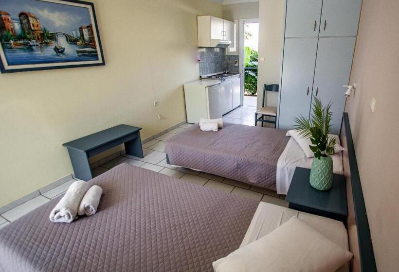 اتاق استاندارد, Sofia S