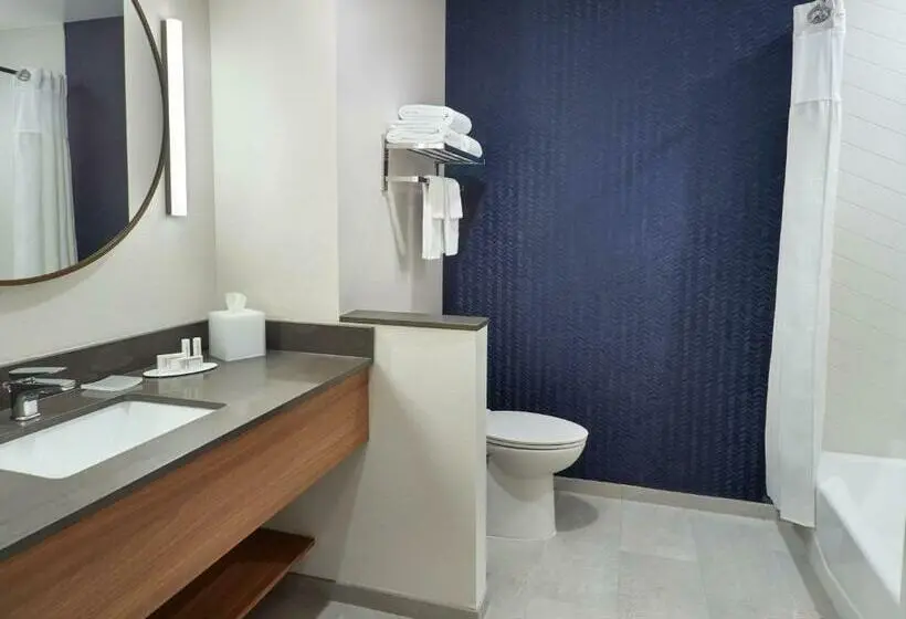اتاق استاندارد با تخت بزرگ, Fairfield Inn & Suites By Marriott Athensuniversity Area