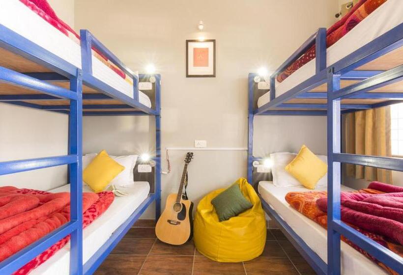 Кровать в Общей Комнате, The Trippy Tribe