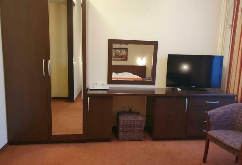 Standard Room, Pensiunea Floarea Soarelui Brasov