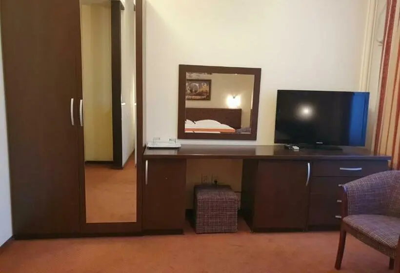 Standard Room, Pensiunea Floarea Soarelui Brasov