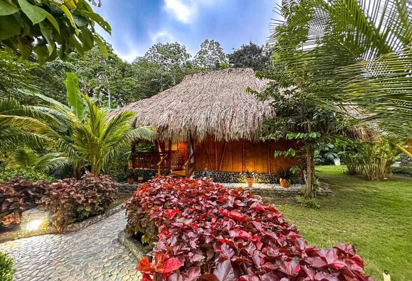 بنگله خانوادگی, Ecohabs Bamboo Parque Tayrona   Dentro Del Pnn Tayrona