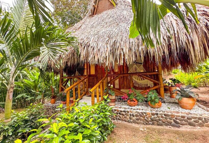 بانگلوی لوکس, Ecohabs Bamboo Parque Tayrona   Dentro Del Pnn Tayrona