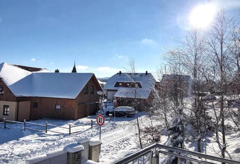 バルコニー付スイート, Wellness Penzion Lázně Kvilda