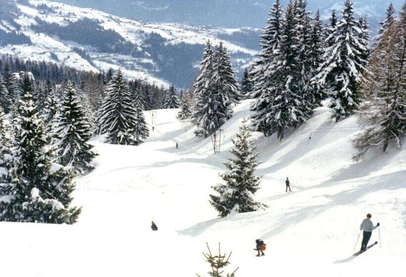 1 Bedroom Chalet, Woodland Village Anzère
