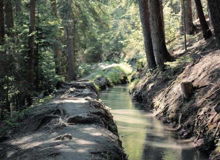 1 Sovrums Superior Stuga, Woodland Village Anzère