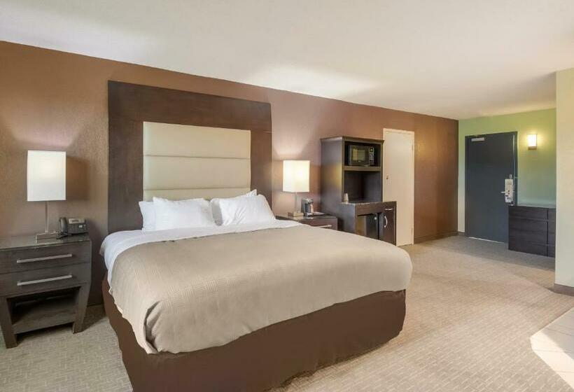 Стандартный Номер Кровать Кинг, Clarion Inn