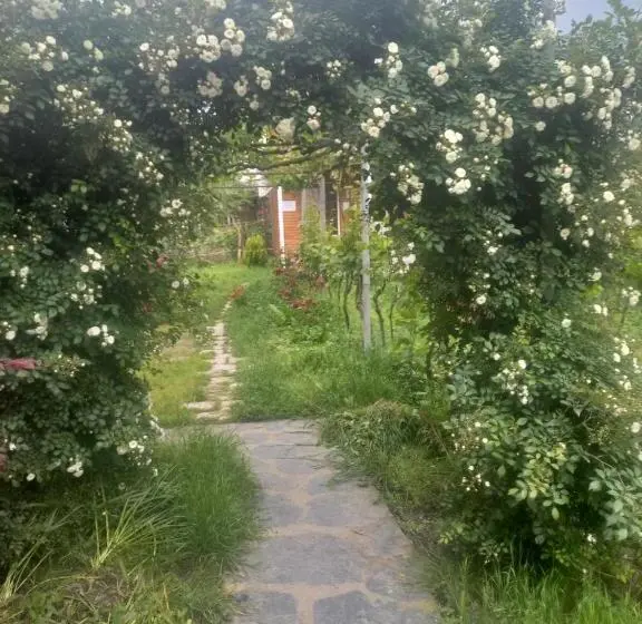 اتاق استاندارد سه نفره, Cottage And Gigo Papa's Wine Cellar