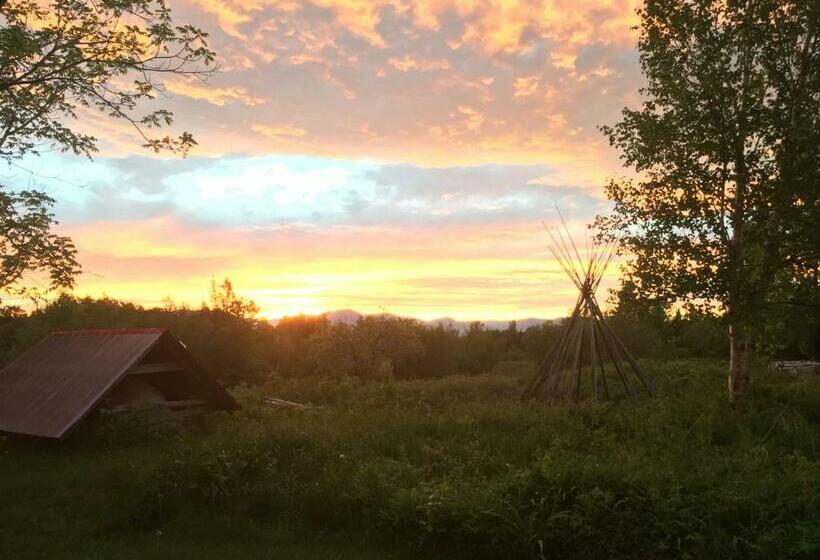 חדר סטנדרט, L'aubergine