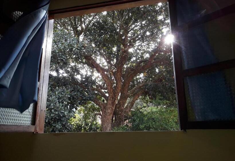 חדר סטנדרט לארבעה, Casa Da Trilha