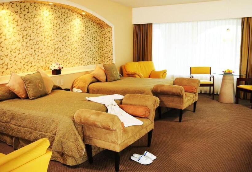 سوئیت مستر, Baruk Teleférico Centro Histórico