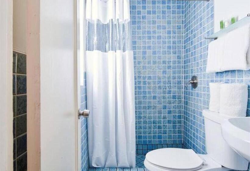 デラックスルーム, Colony