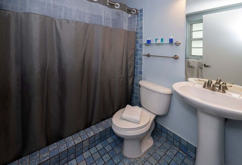 デラックスルーム, Colony