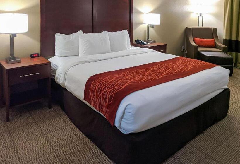 Quarto Estandar Cama King, Comfort Inn Marrero  New Orleans West