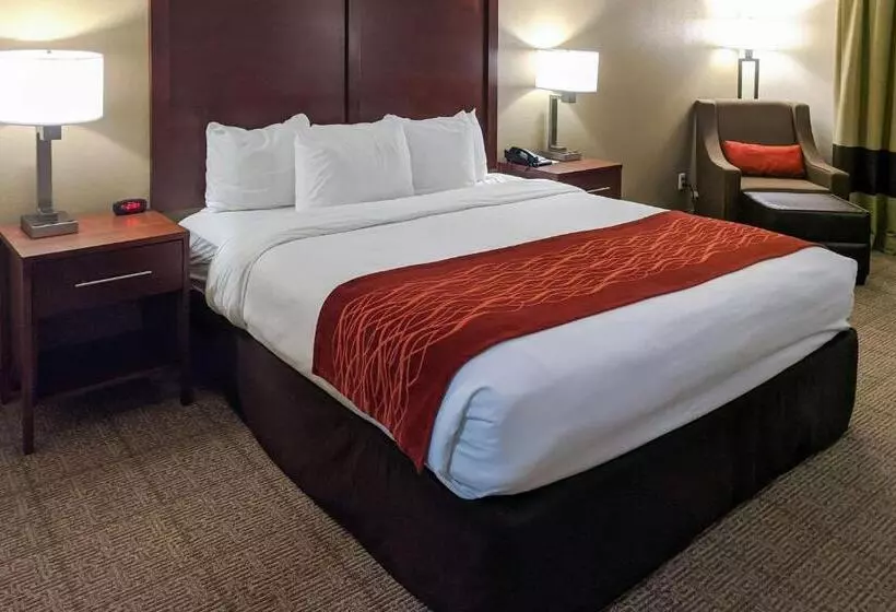 キングサイズベッドのスタンダードルーム, Comfort Inn Marrero  New Orleans West