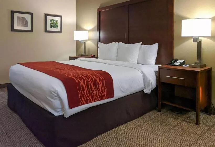 キングサイズベッドのスタンダードルーム, Comfort Inn Marrero  New Orleans West