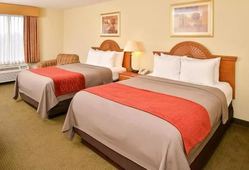 スタンダードルーム, Comfort Inn Marrero  New Orleans West