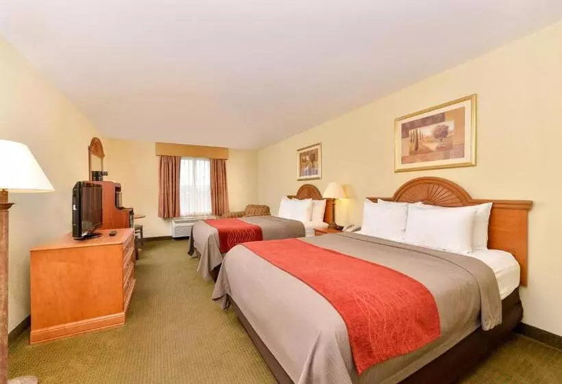身障者適用スタンダードルーム, Comfort Inn Marrero  New Orleans West