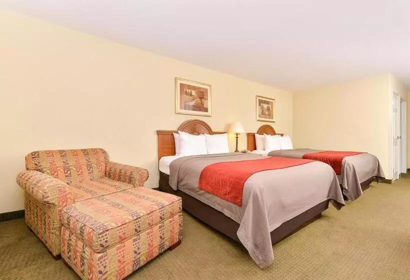 身障者適用スタンダードルーム, Comfort Inn Marrero  New Orleans West