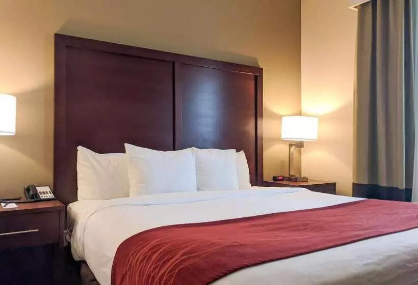 身障者適用スイートルーム, Comfort Inn Marrero  New Orleans West