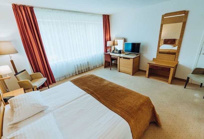 חדר סטנדרט עם כניסה לספא, Gabija Hotel Spa & Conferences