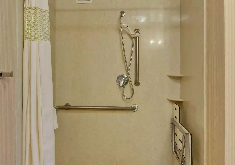 استودیو استاندارد با تخت کینگ, Hampton Inn & Suites Sacramentoairportnatomas