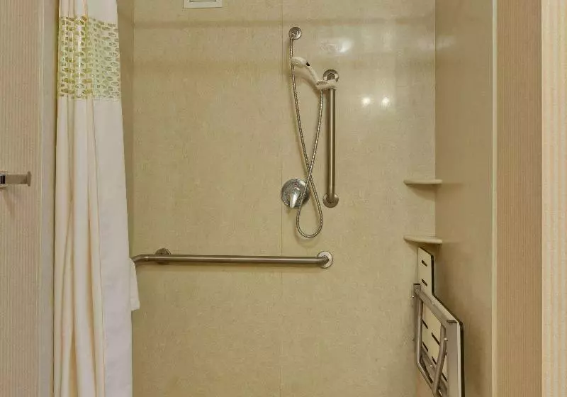 استودیو استاندارد با تخت کینگ, Hampton Inn & Suites Sacramentoairportnatomas