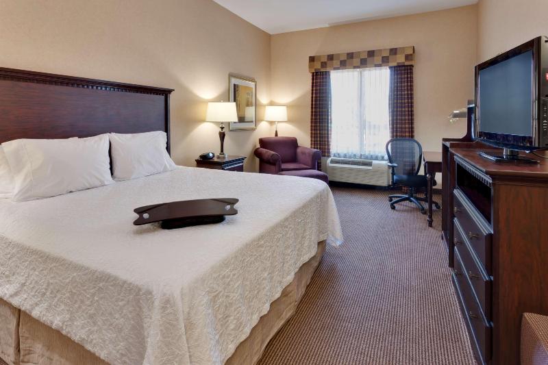 غرفة قياسية سرير كينج, Hampton Inn & Suites Sacramentoairportnatomas
