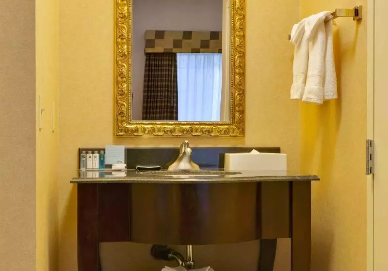 اتاق استاندارد با تخت بزرگ, Hampton Inn & Suites Sacramentoairportnatomas