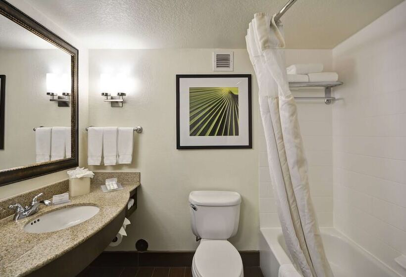 חדר סטנדרט, Hilton Garden Inn Sarasotabradenton Airport