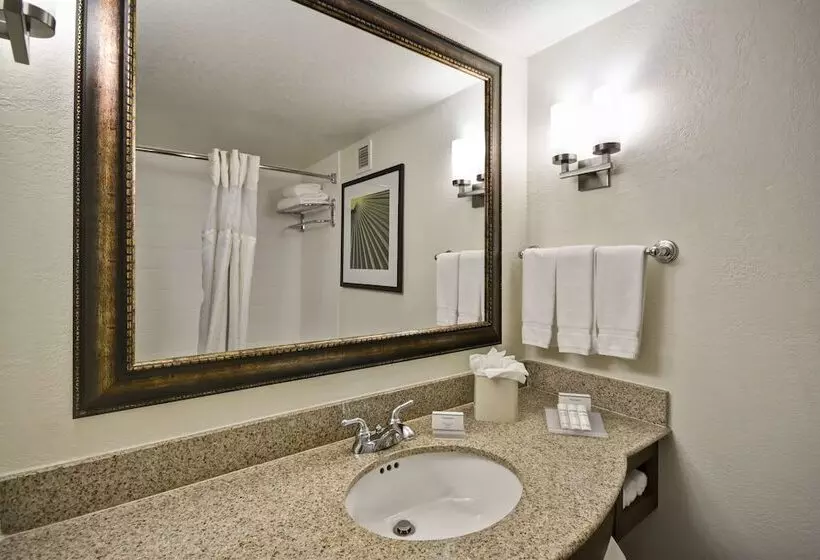 Standard-huone, Hilton Garden Inn Sarasotabradenton Airport