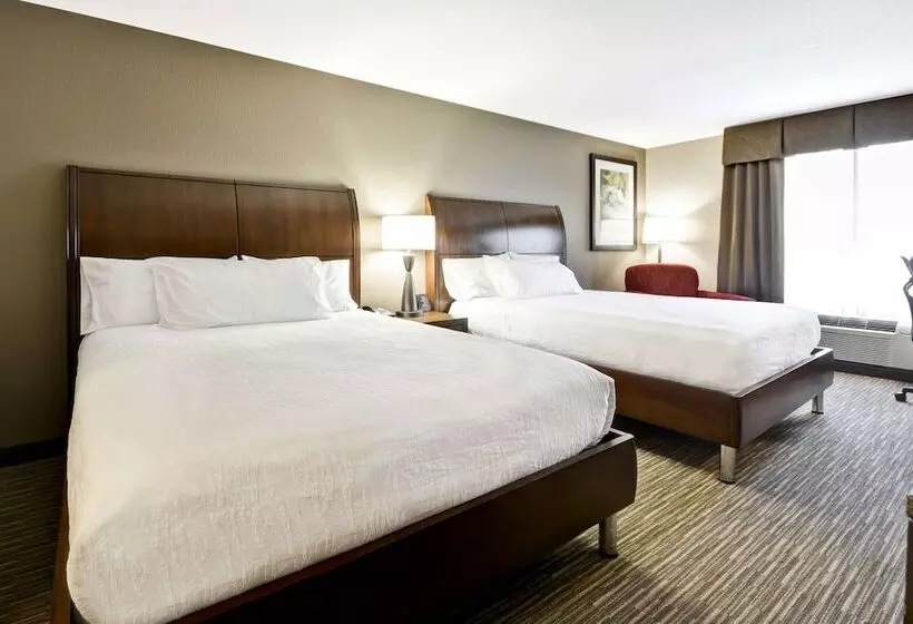 Standard-huone, Hilton Garden Inn Sarasotabradenton Airport