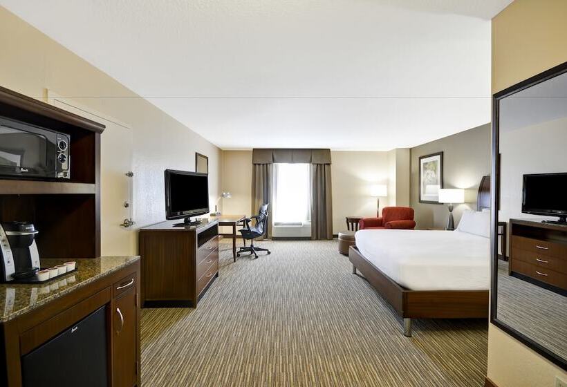 חדר סטנדרט מותאם לאדם עם מוגבלויות, Hilton Garden Inn Sarasotabradenton Airport