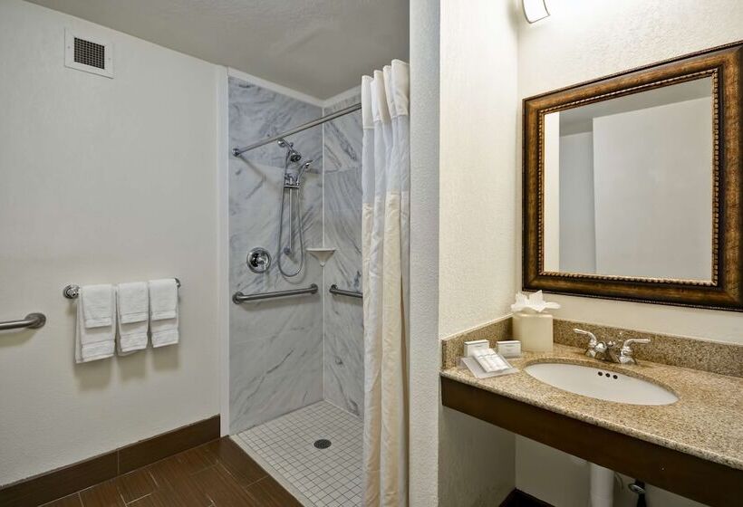 Номер Стандарт Адаптированный для Инвалидов, Hilton Garden Inn Sarasotabradenton Airport